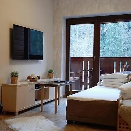 Chopok Juh Apartman Vanda Апартаменты